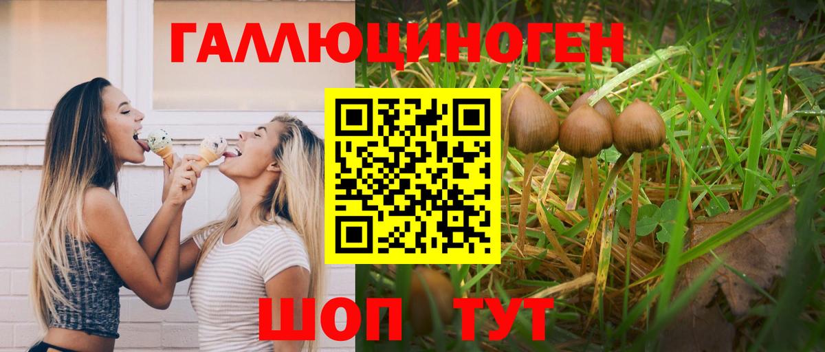 Псилоцибиновые грибы мицелий  Вход с VPN  Галлюциногенные грибы Cubensis  Тюмень 